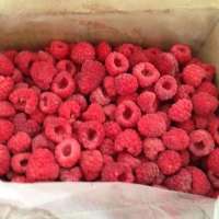 Frozen raspberry IQF Raspberry BRC HALAL HACCP certificates