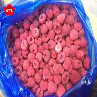 frozen fruits iqf raspberry with best price